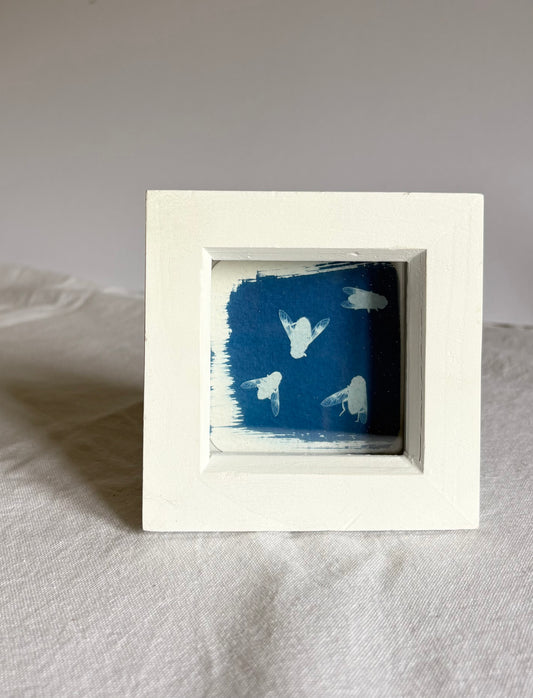 Flies white square glass box frame - SALE