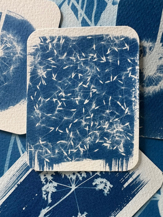 Dandelion seeds 7.8x9.7cm