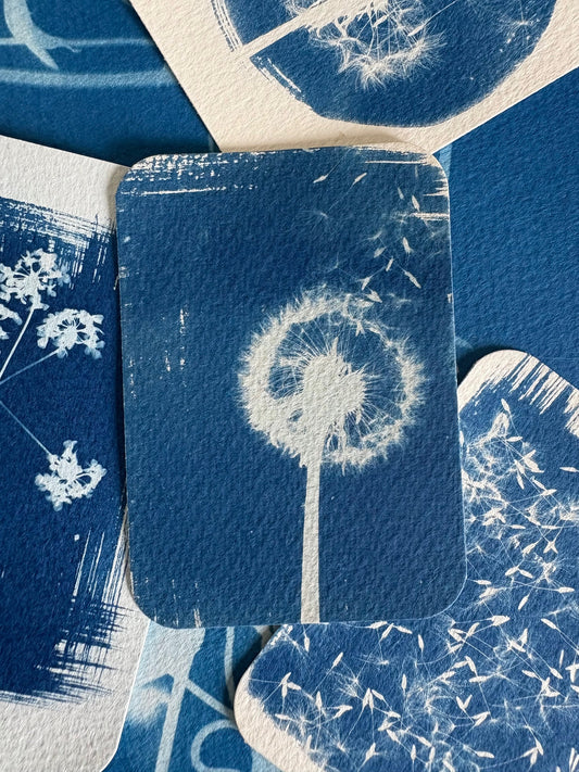 Grey Dandelion 6.7x9.2cm