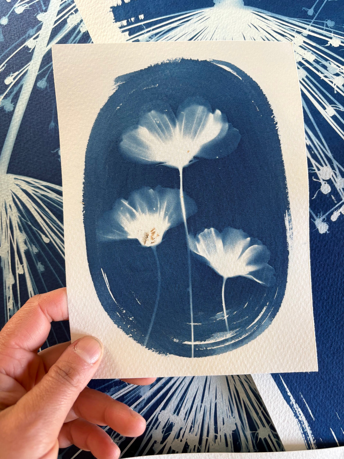 Cosmos Trio (plant mark) 14x19cm - Original Print  - SALE