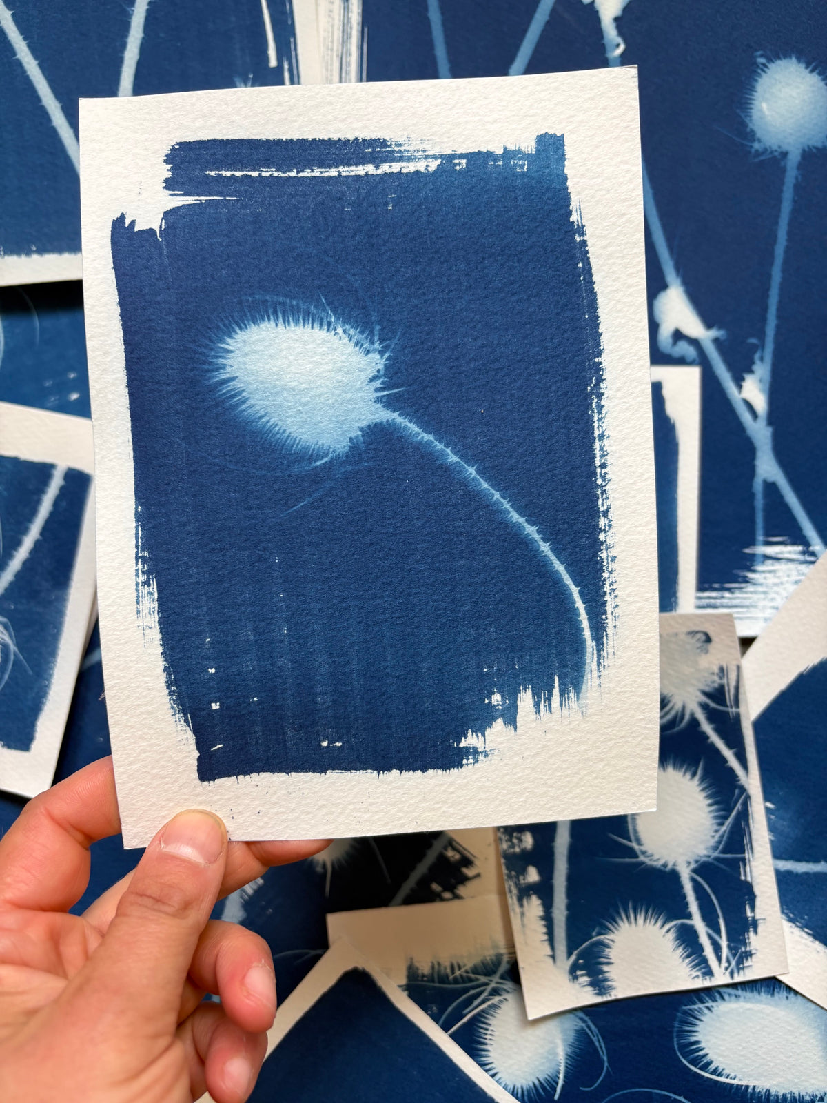 Teasel (movement) 14x19cm - Original Print  - SALE