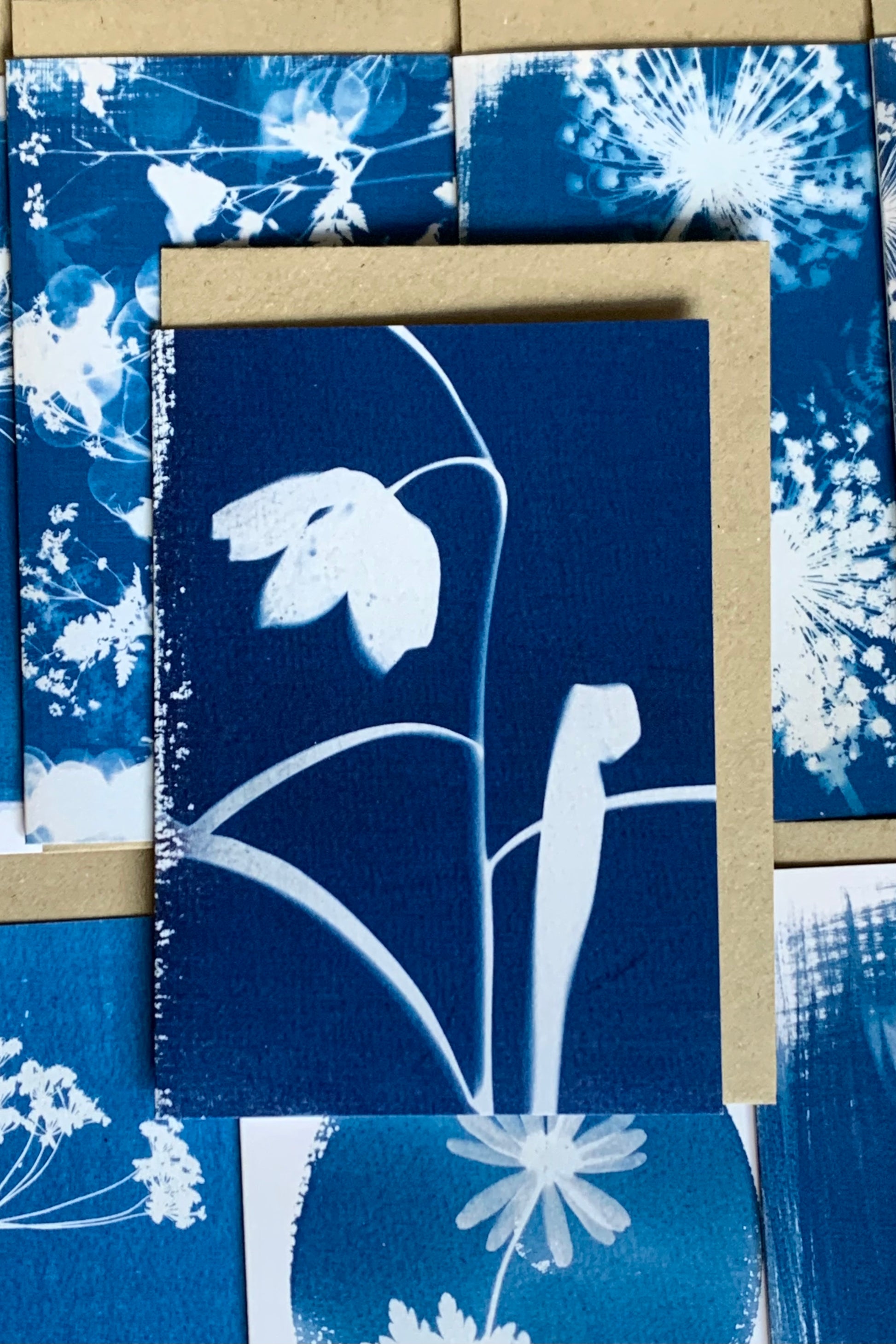 Snakes Head Fritillary Flower Cyanotype Blank Greetings card from Danielle East ART