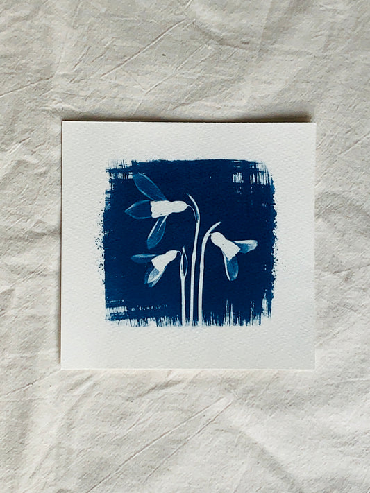 Snow Drop Square NNU 15x15cm - Original Print