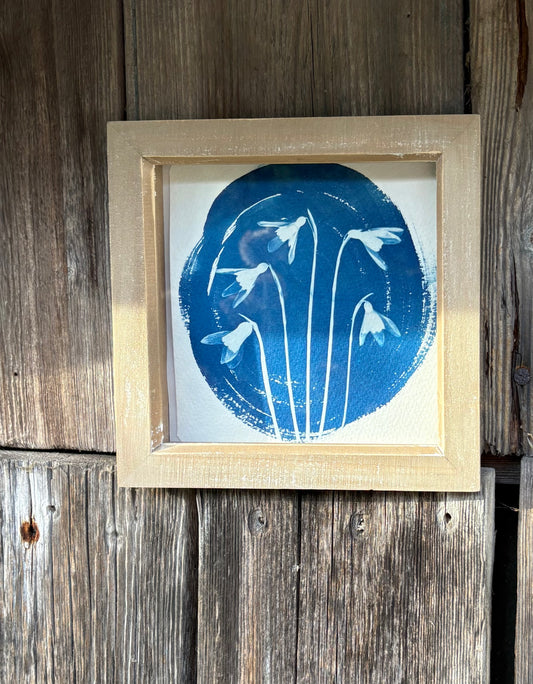 Snow Drop 5 - wood washed square glass box frame