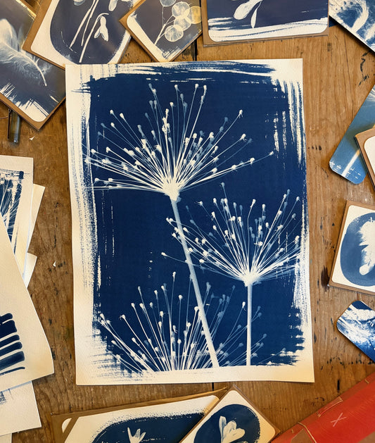 Spider Trio 38x28cm Original Cyanotype Print