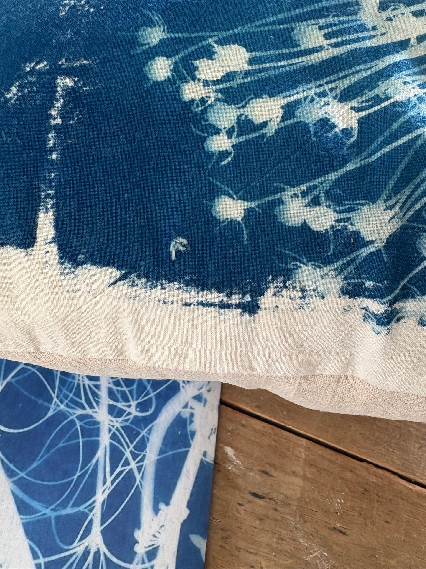 Spider Allium Cushion - COVER ONLY - Original Cyanotype - SALE