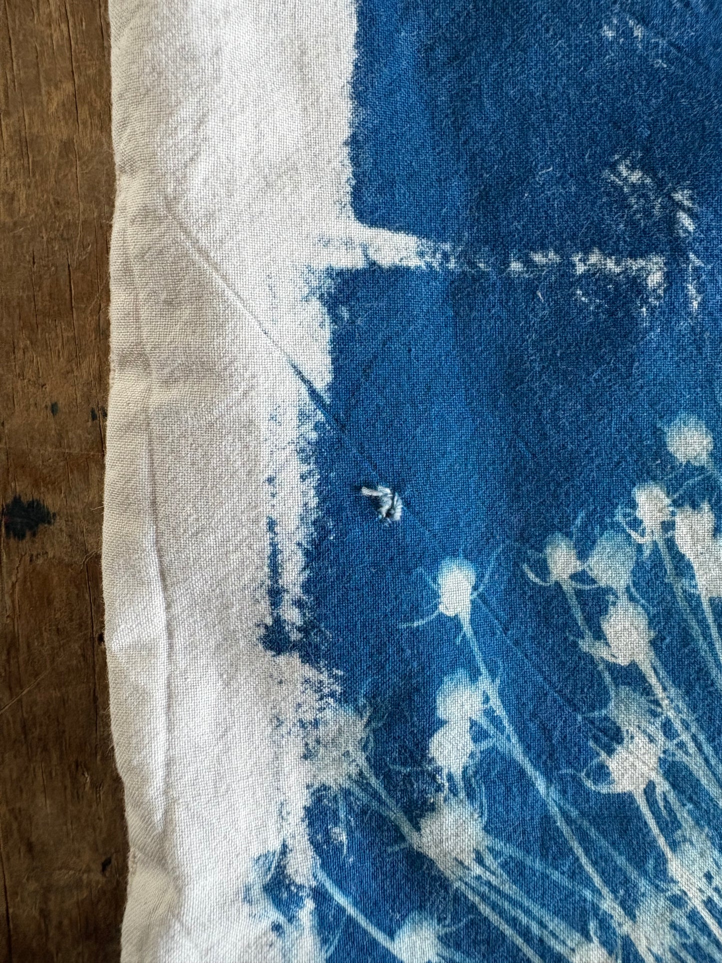 Spider Allium Cushion - COVER ONLY - Original Cyanotype - SALE