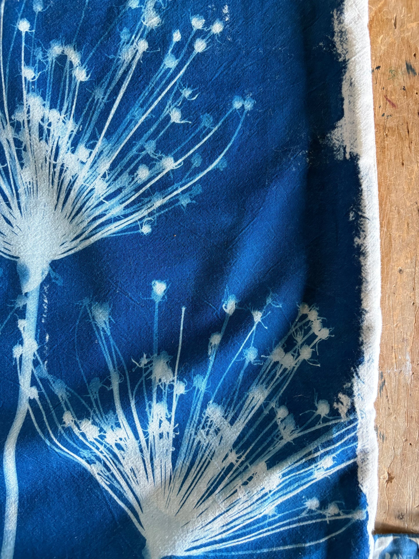 Spider Allium Cushion - COVER ONLY - Original Cyanotype - SALE
