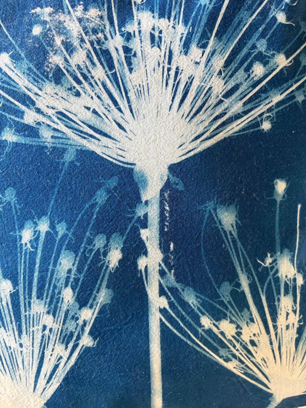 Spider Allium Cushion - COVER ONLY - Original Cyanotype - SALE