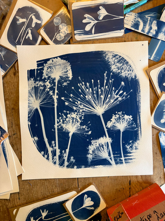 Square Alliums 38x38cm (approx)