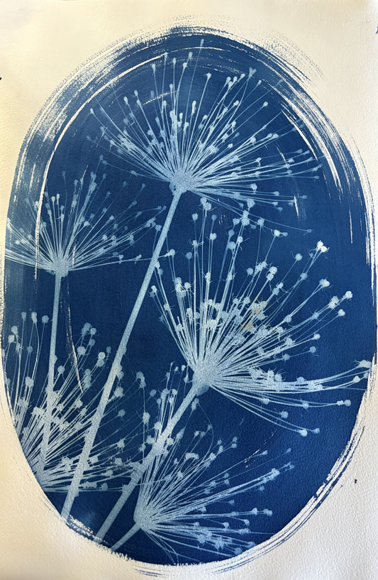 Spider Allium 3 Oval (15x22") Original Print - SALE