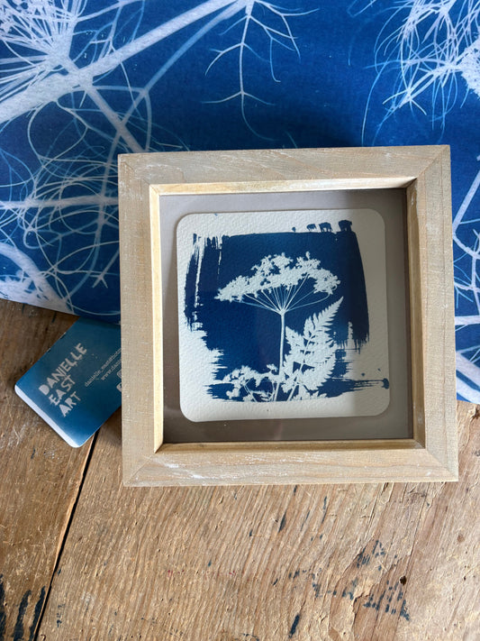 Cow Parsley -PRINT CURL - wood washed square glass box frame - SALE