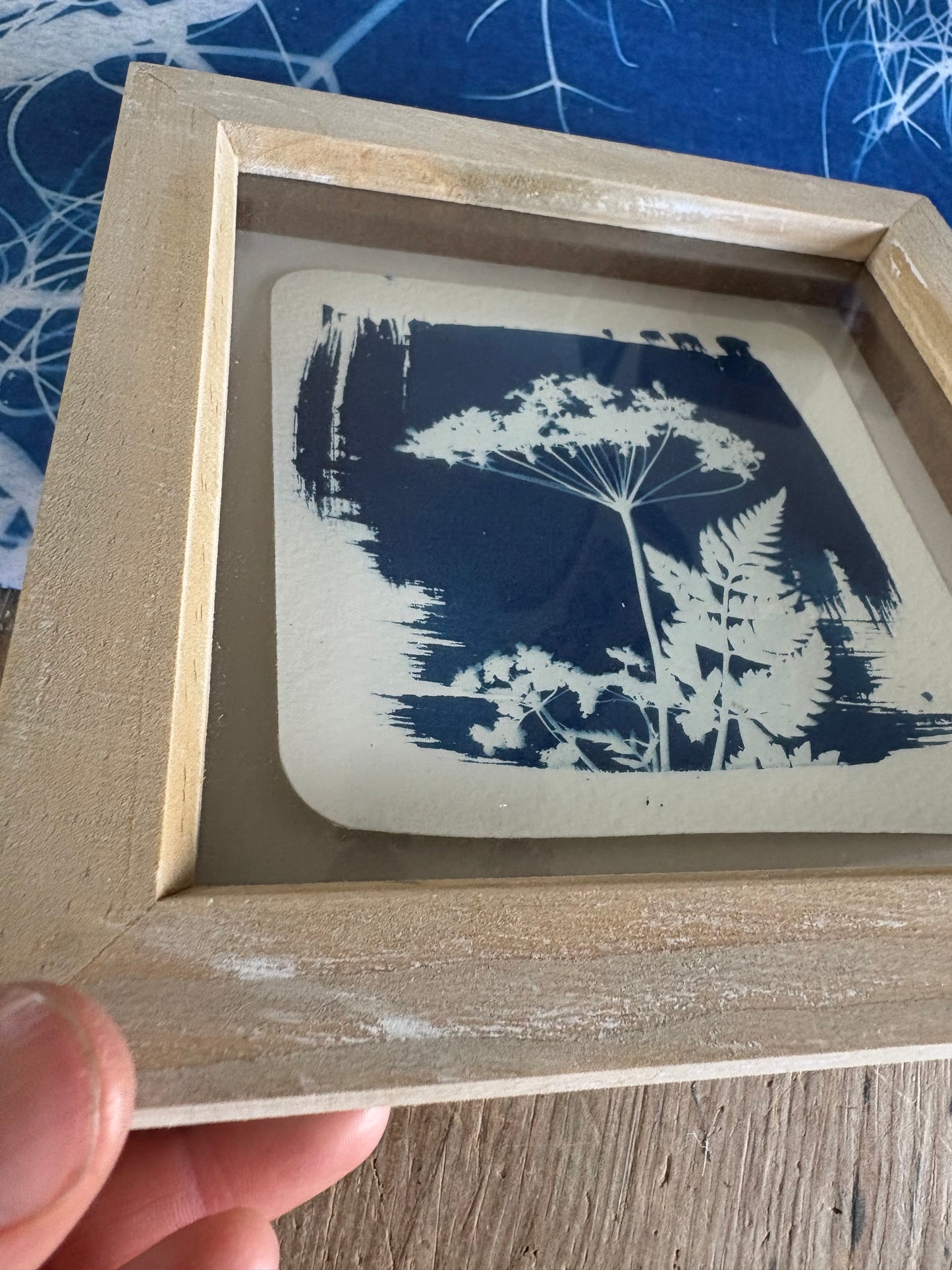 Cow Parsley -PRINT CURL - wood washed square glass box frame - SALE