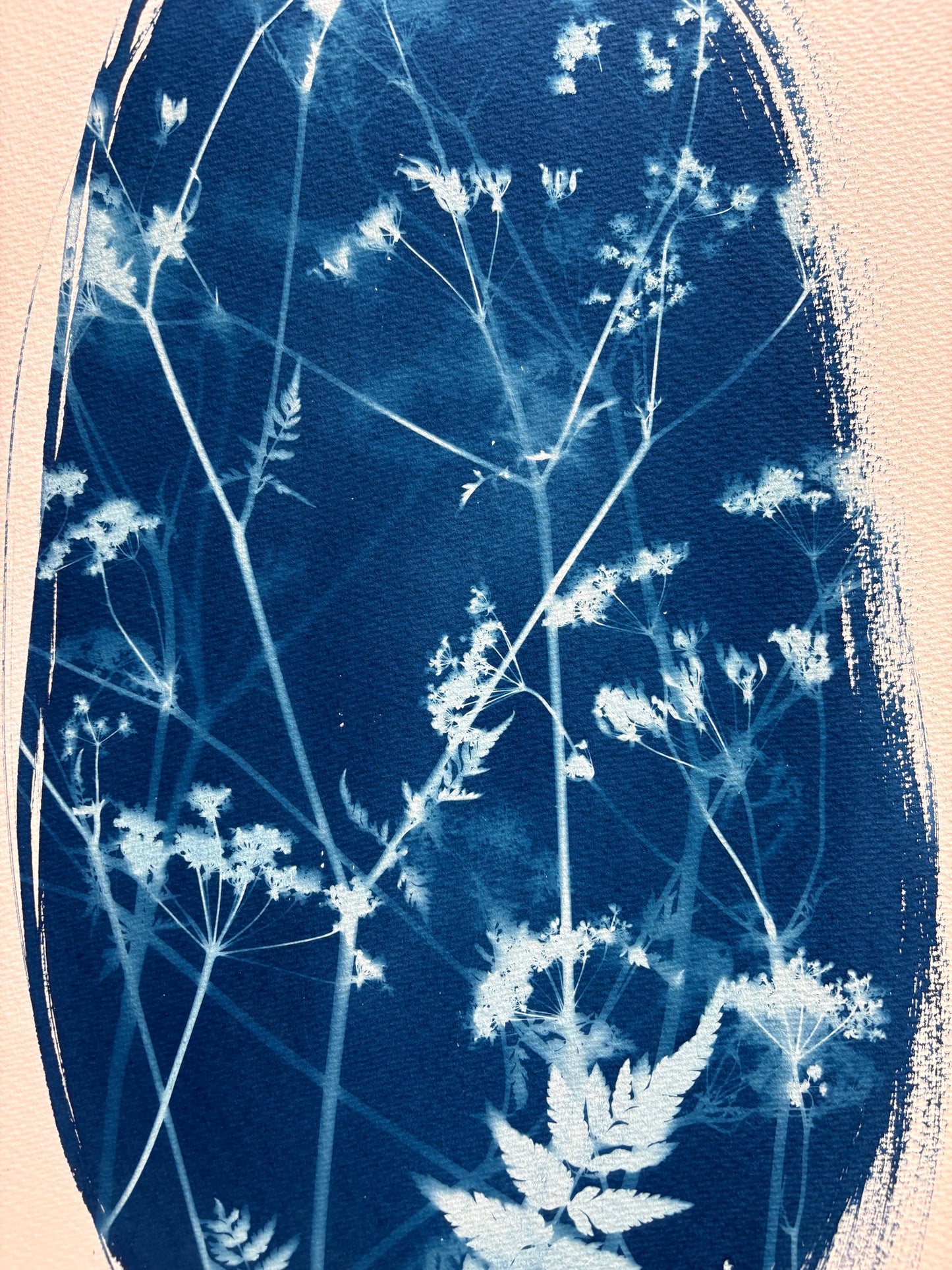 Cow Parsley Oval i (15x22") Original Print - SALE