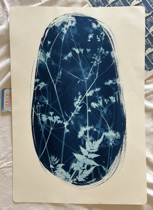 Cow Parsley Oval i (15x22") Original Print - SALE