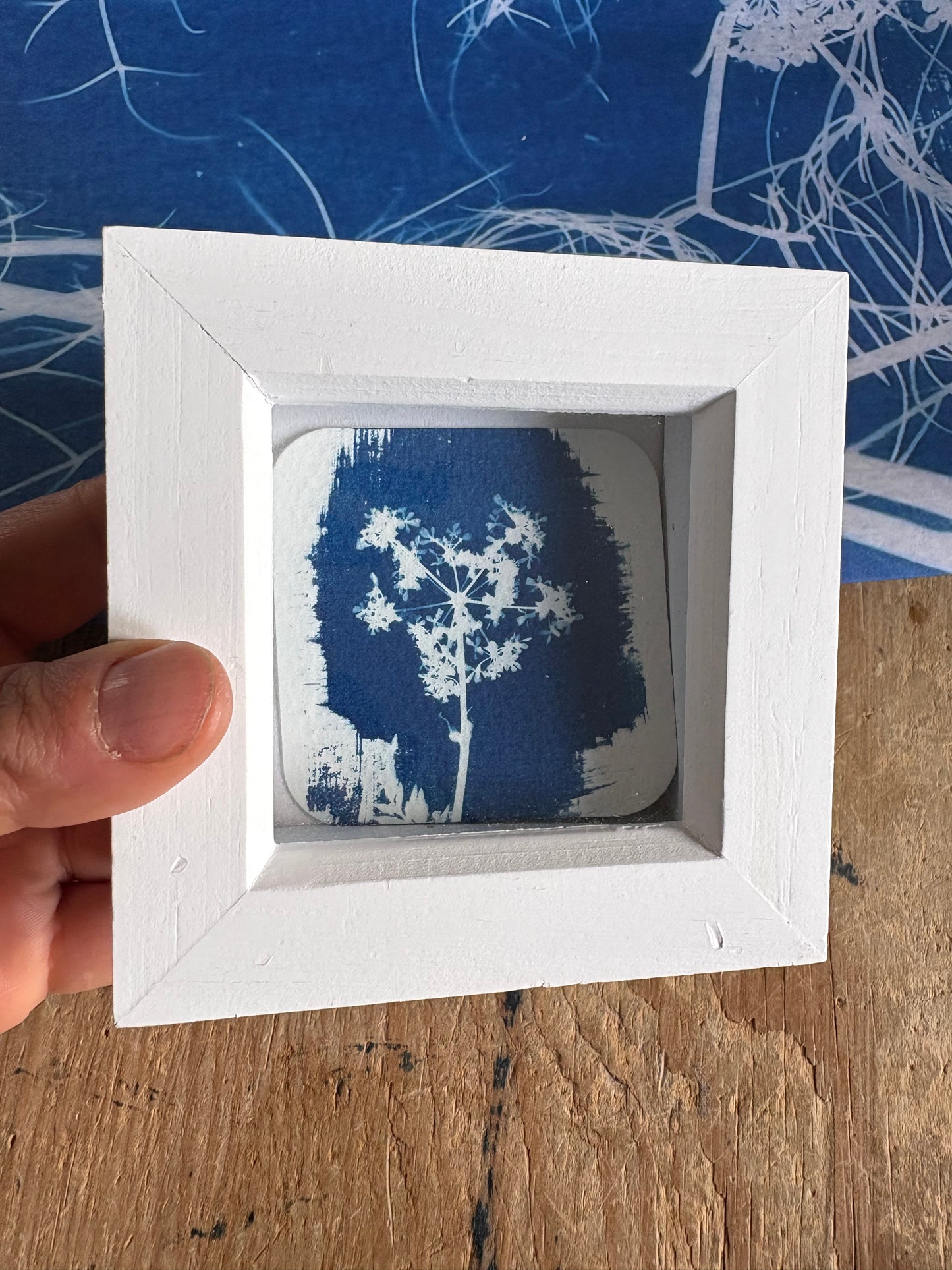 Cow Parsley -PRINT LOOSE - WHITE square glass box frame - SALE