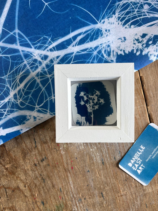Cow Parsley -PRINT LOOSE - WHITE square glass box frame - SALE
