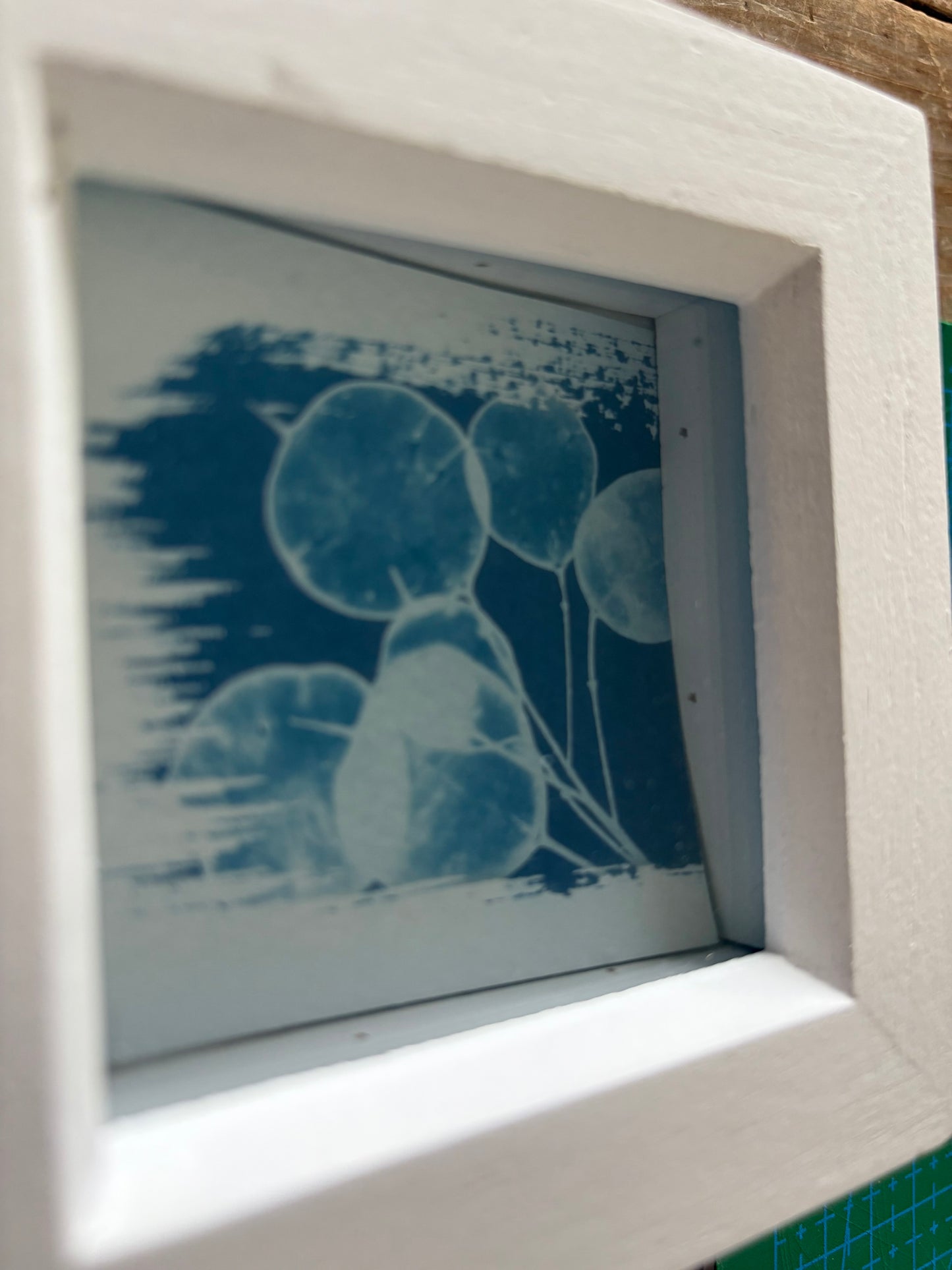 Honesty -PRINT LOOSE - WHITE square glass box frame - SALE