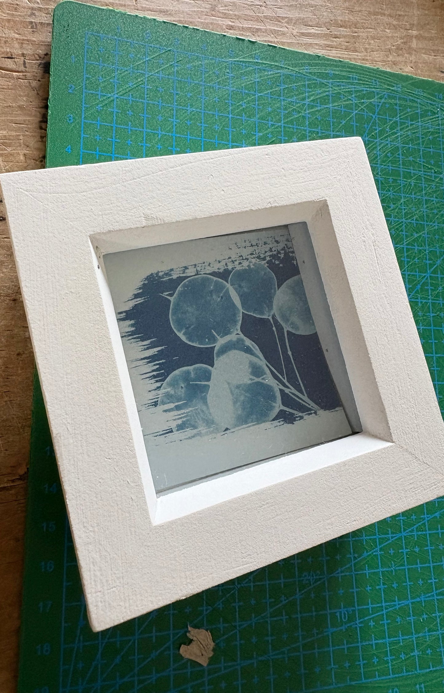 Honesty -PRINT LOOSE - WHITE square glass box frame - SALE