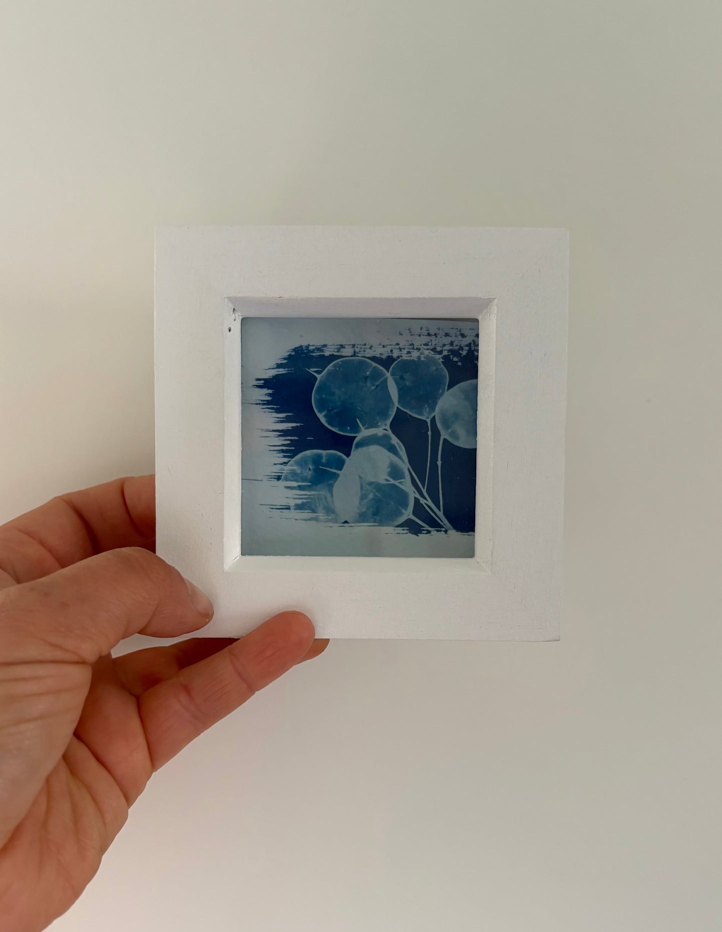 Honesty -PRINT LOOSE - WHITE square glass box frame - SALE