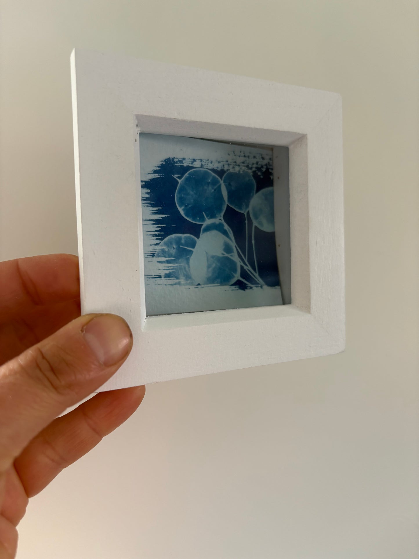 Honesty -PRINT LOOSE - WHITE square glass box frame - SALE