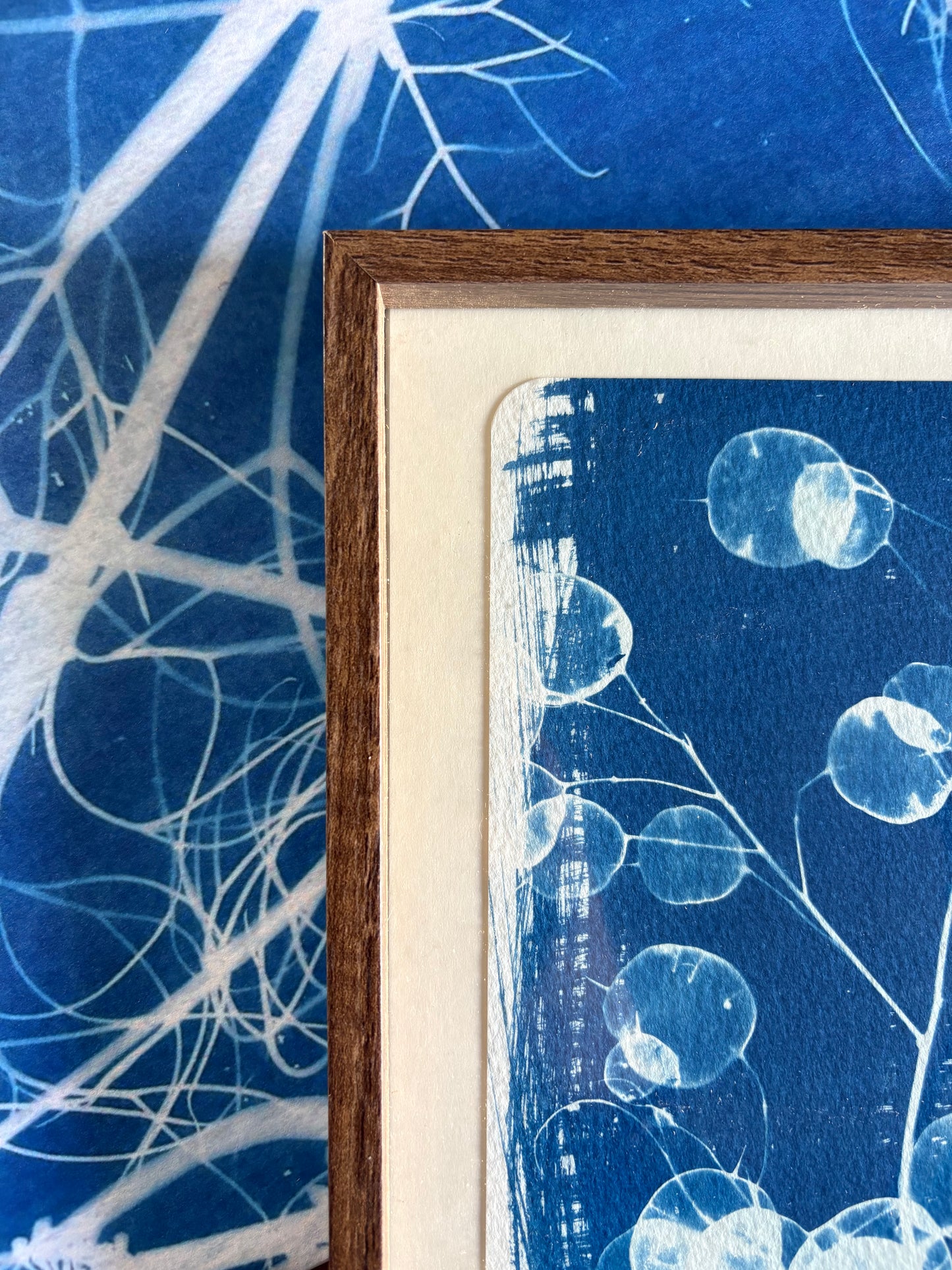 Honesty -OLD STOCK - Walnut coloured glass frame - SALE