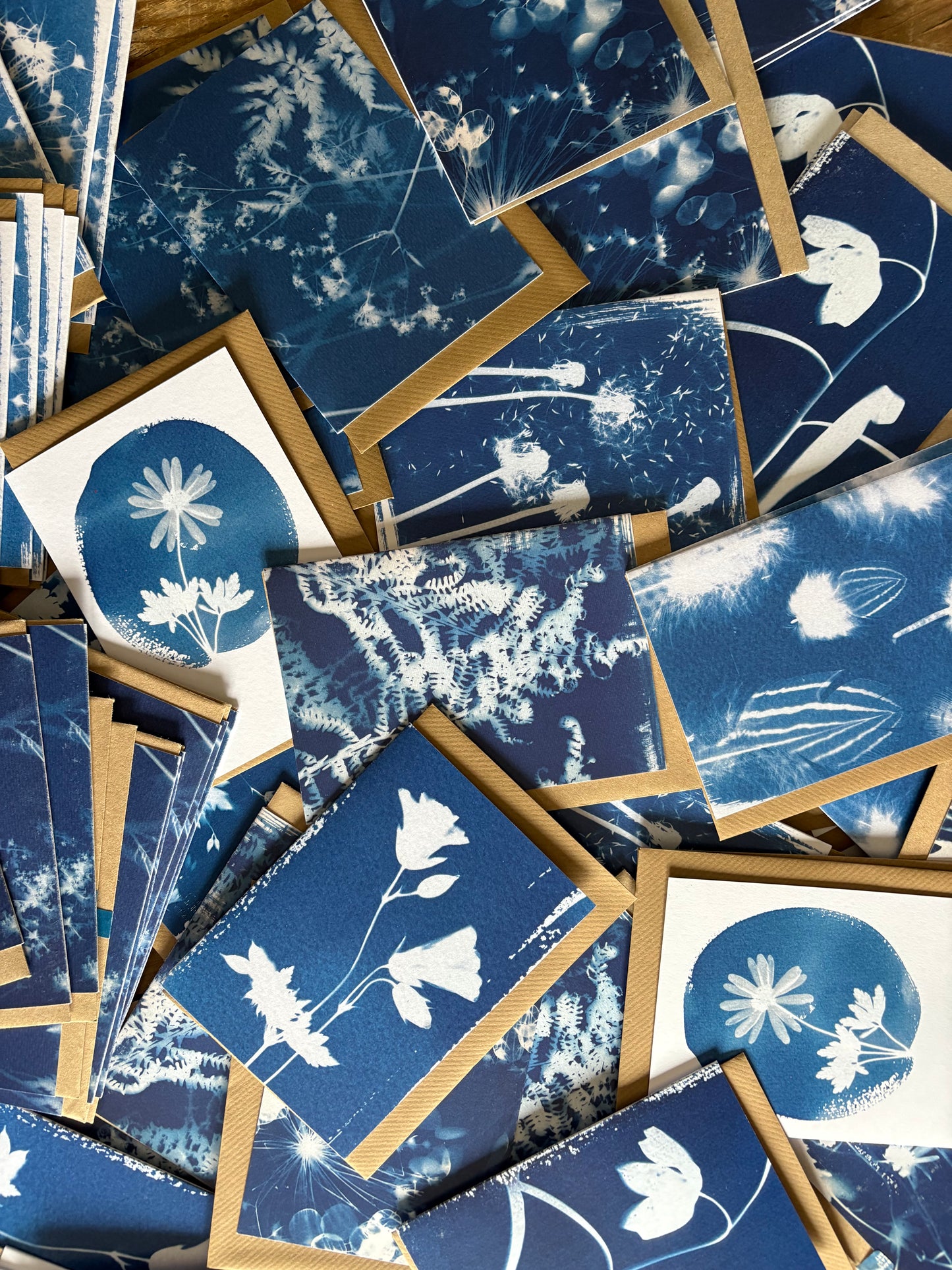 Pack of 4 Lucky Dip Cyanotype Cards