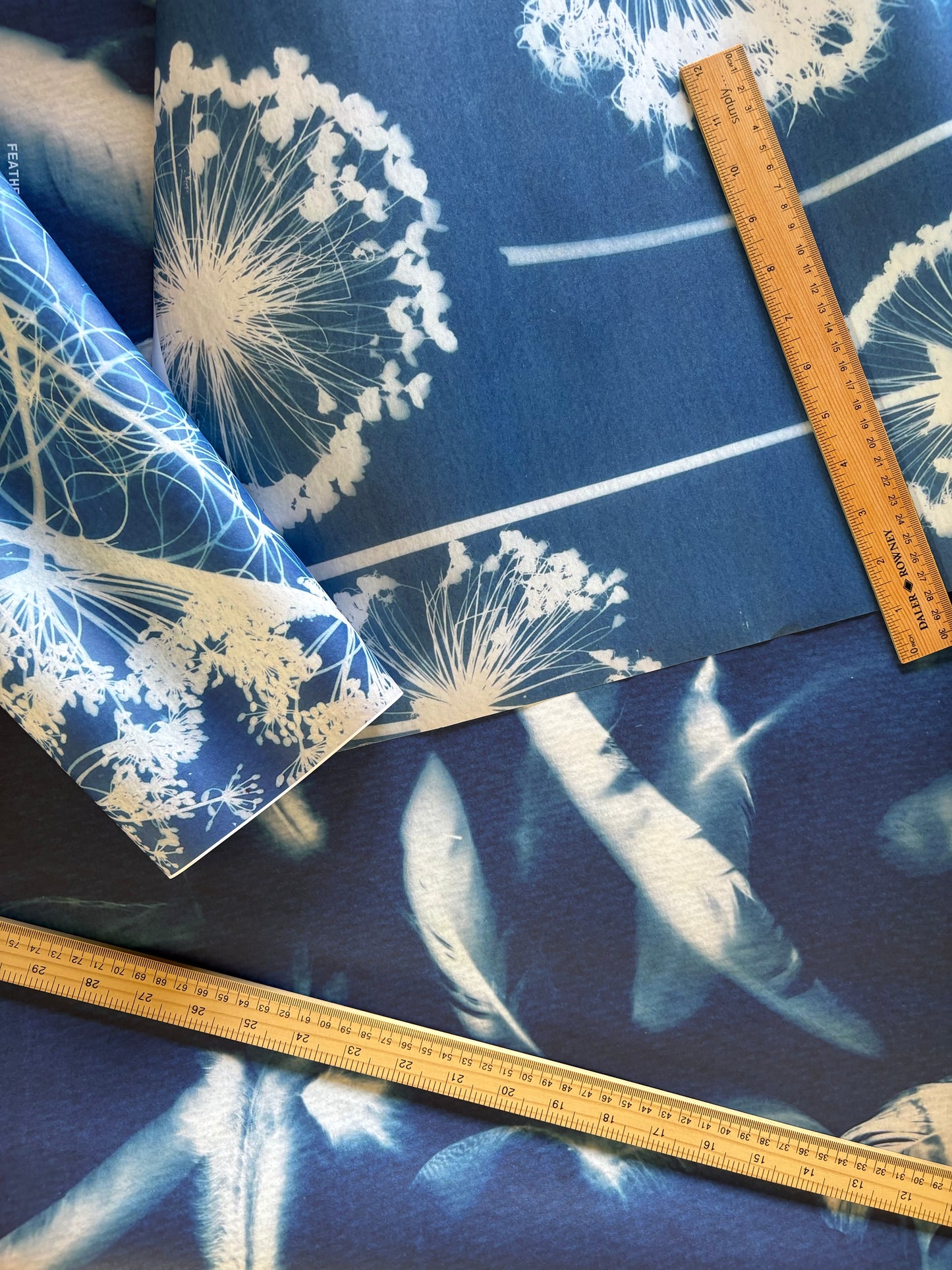 Cyanotype 2025 Bumper Lucky Dip Bags