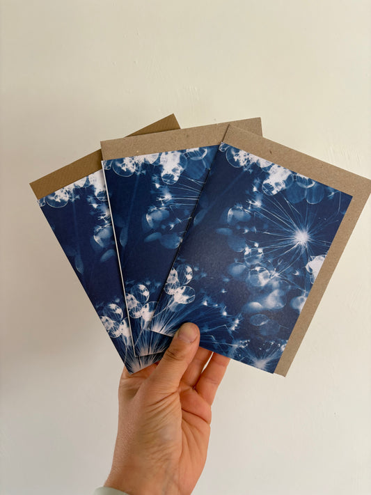 Pack of 3 Allium and Honesty  Cyanotype Cards - FOR THE PRICE OF ONE