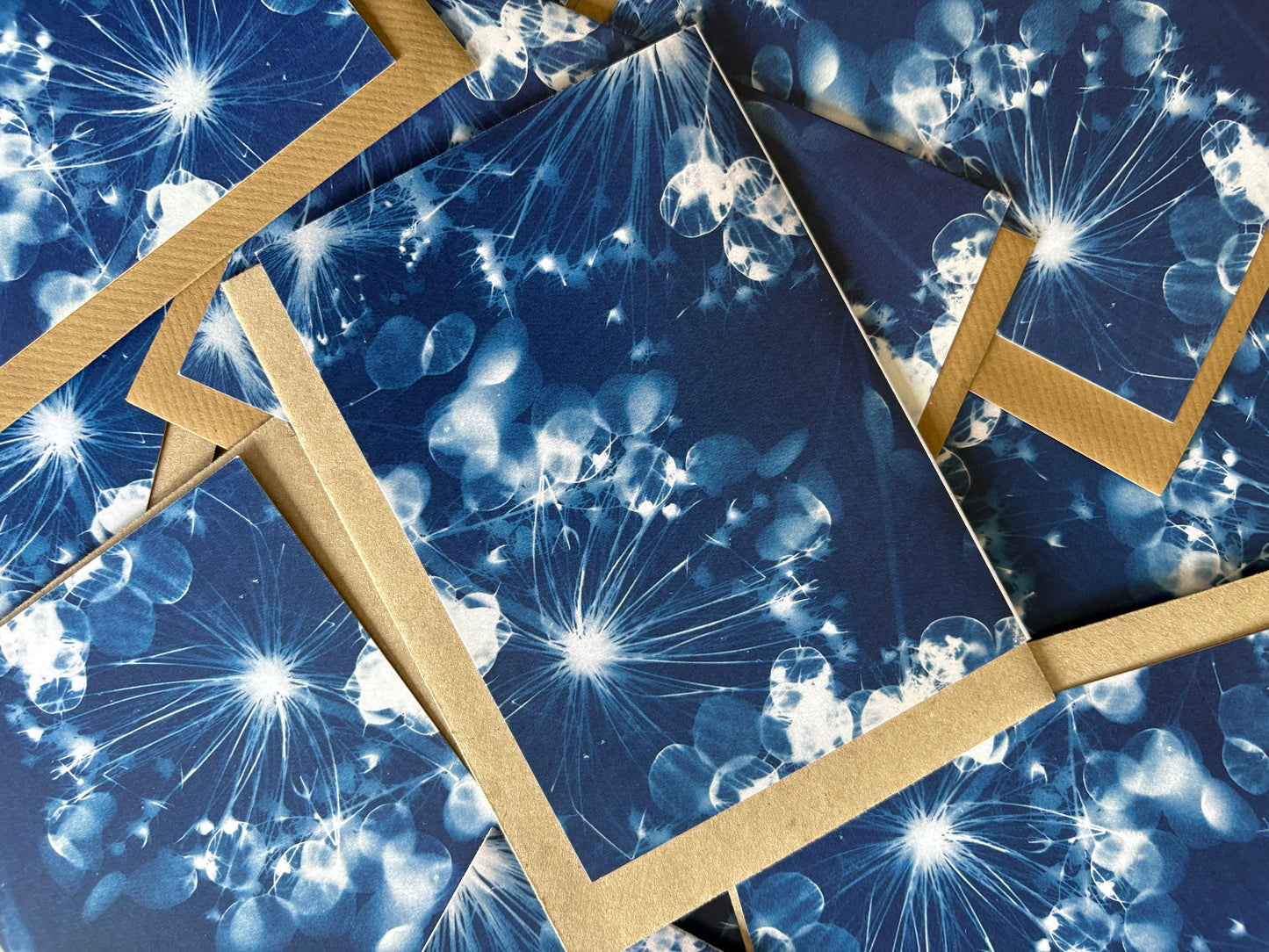 Pack of 3 Allium and Honesty  Cyanotype Cards - FOR THE PRICE OF ONE