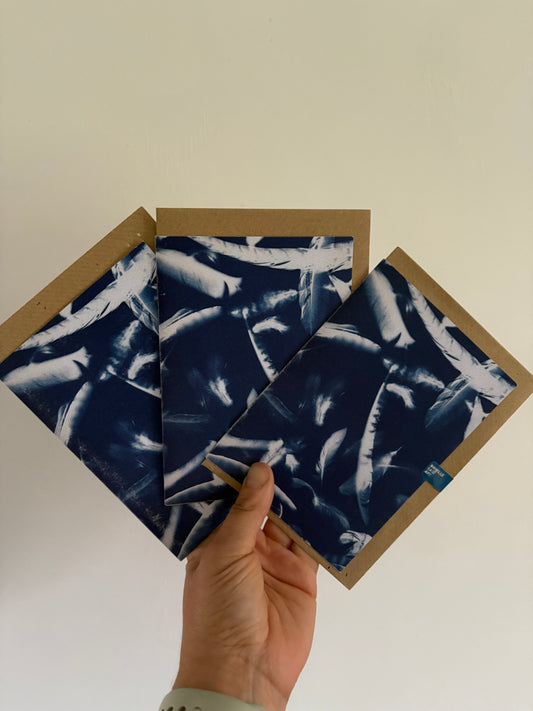Pack of 3 Feather Cyanotype Cards - FOR THE PRICE OF ONE