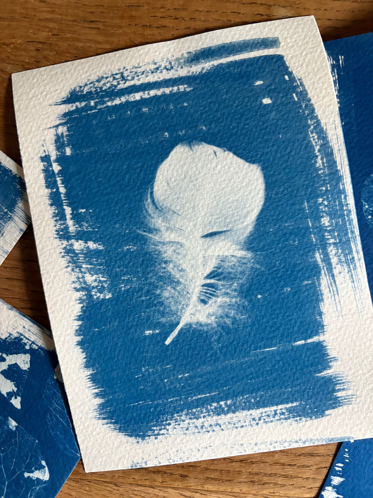 Pale Goose feather 14x19cm - Original Print - SALE