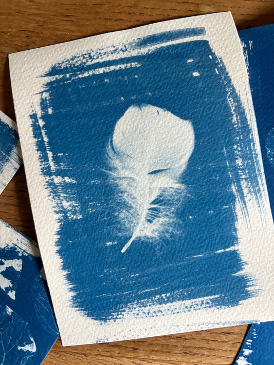 Pale Goose feather 14x19cm - Original Print - SALE