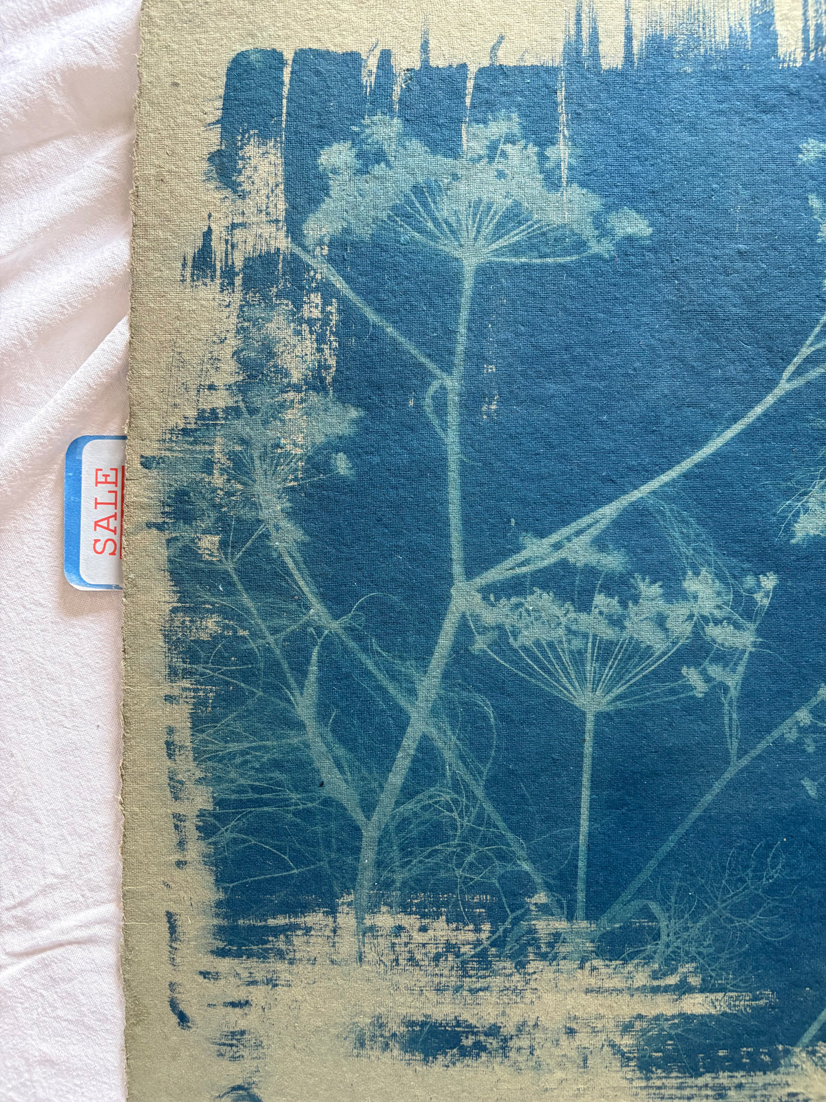 Pale Green Fennel (40x52cm) Original Print - SALE