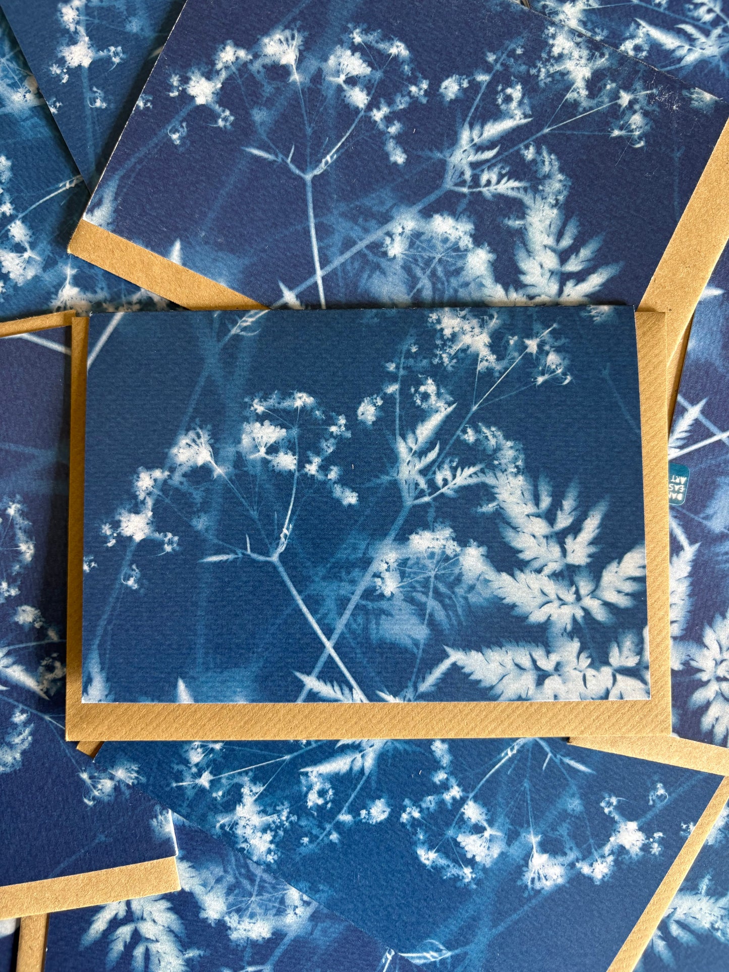 Pack of 3 Haze  Cyanotype Cards - FOR THE PRICE OF ONE