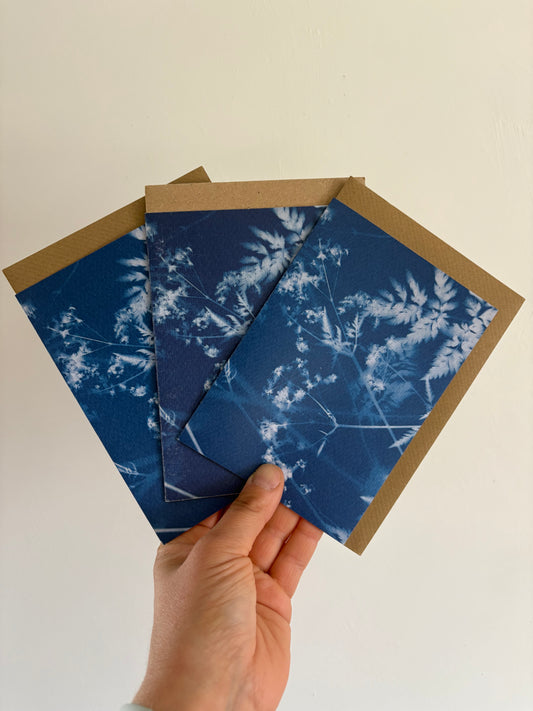 Pack of 3 Haze  Cyanotype Cards - FOR THE PRICE OF ONE