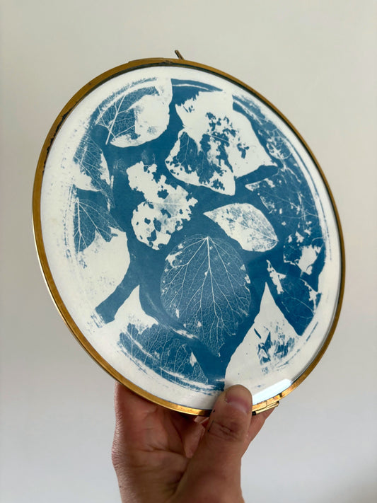 Leaf Skeleton - LOOSE CLASP - Brass Framed Circle Cyanotype - 21.5cm Diameter - SALE