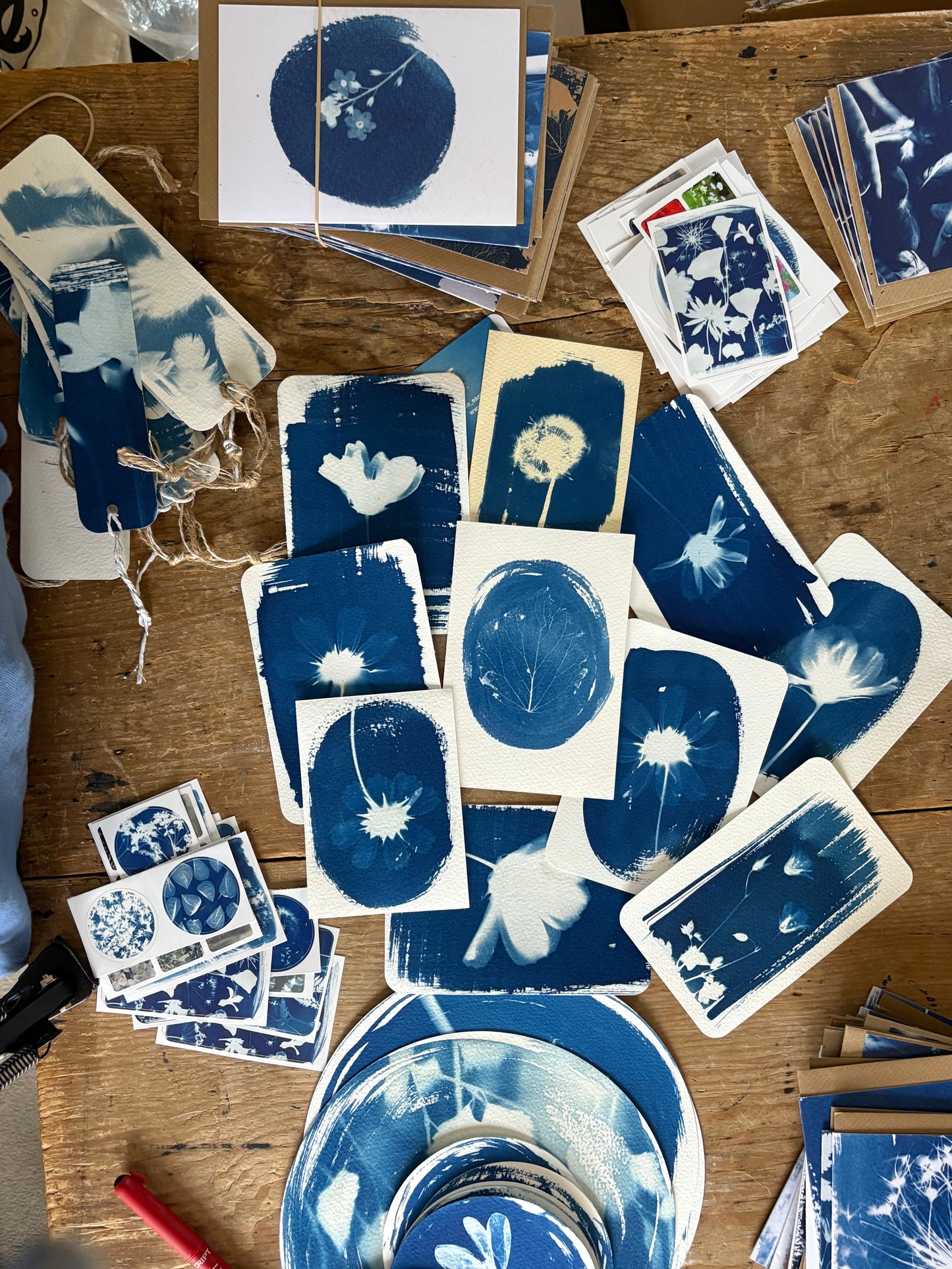 Cyanotype 2025 Bumper Lucky Dip Bags