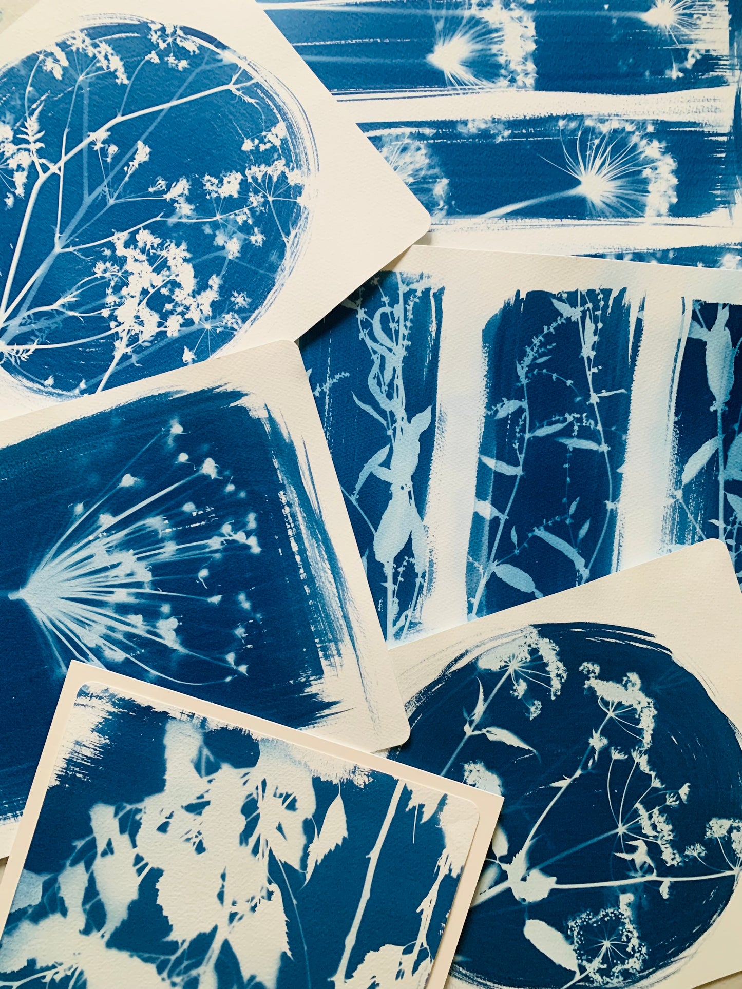 Birch Tree in August- Mounted - Cyanotype 38x28cm (approx) Original Print- SALE