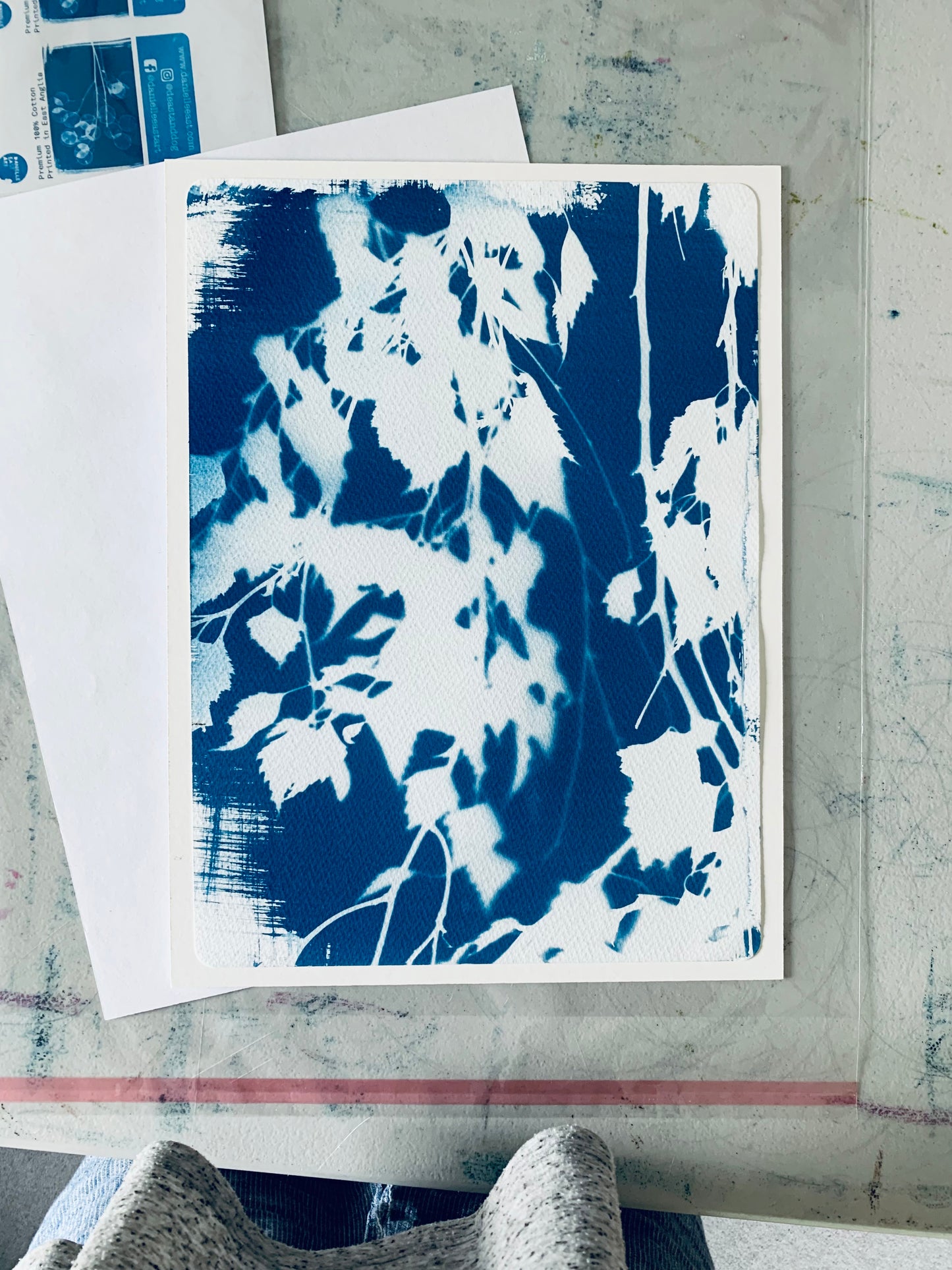 Birch Tree in August- Mounted - Cyanotype 38x28cm (approx) Original Print- SALE