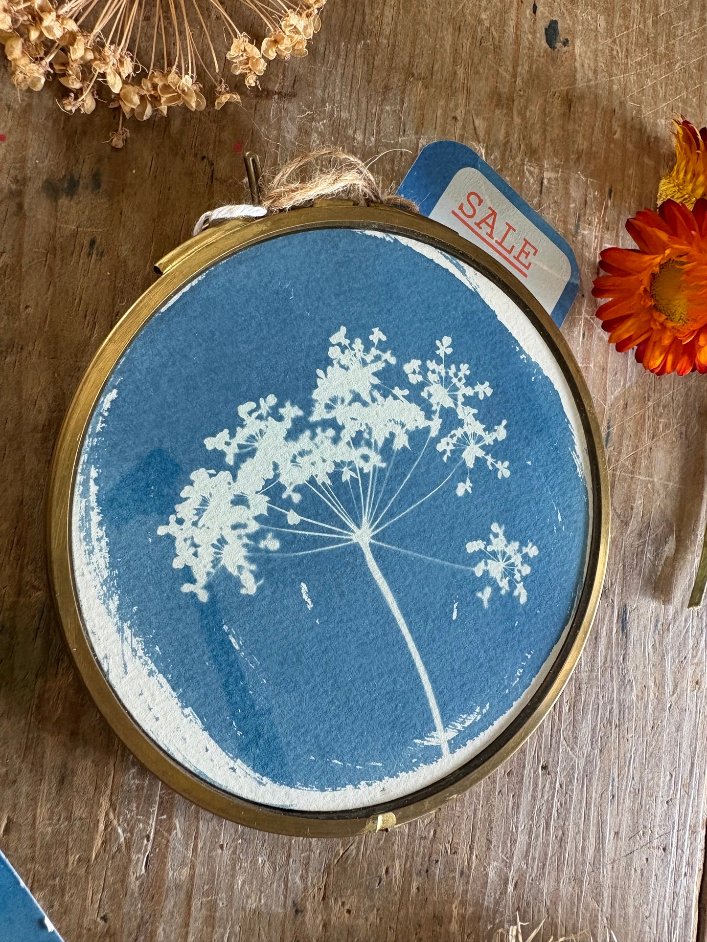 Pressed Parsley - NO HOOK - Brass Framed Circle Cyanotype - 12cm Diameter - SALE