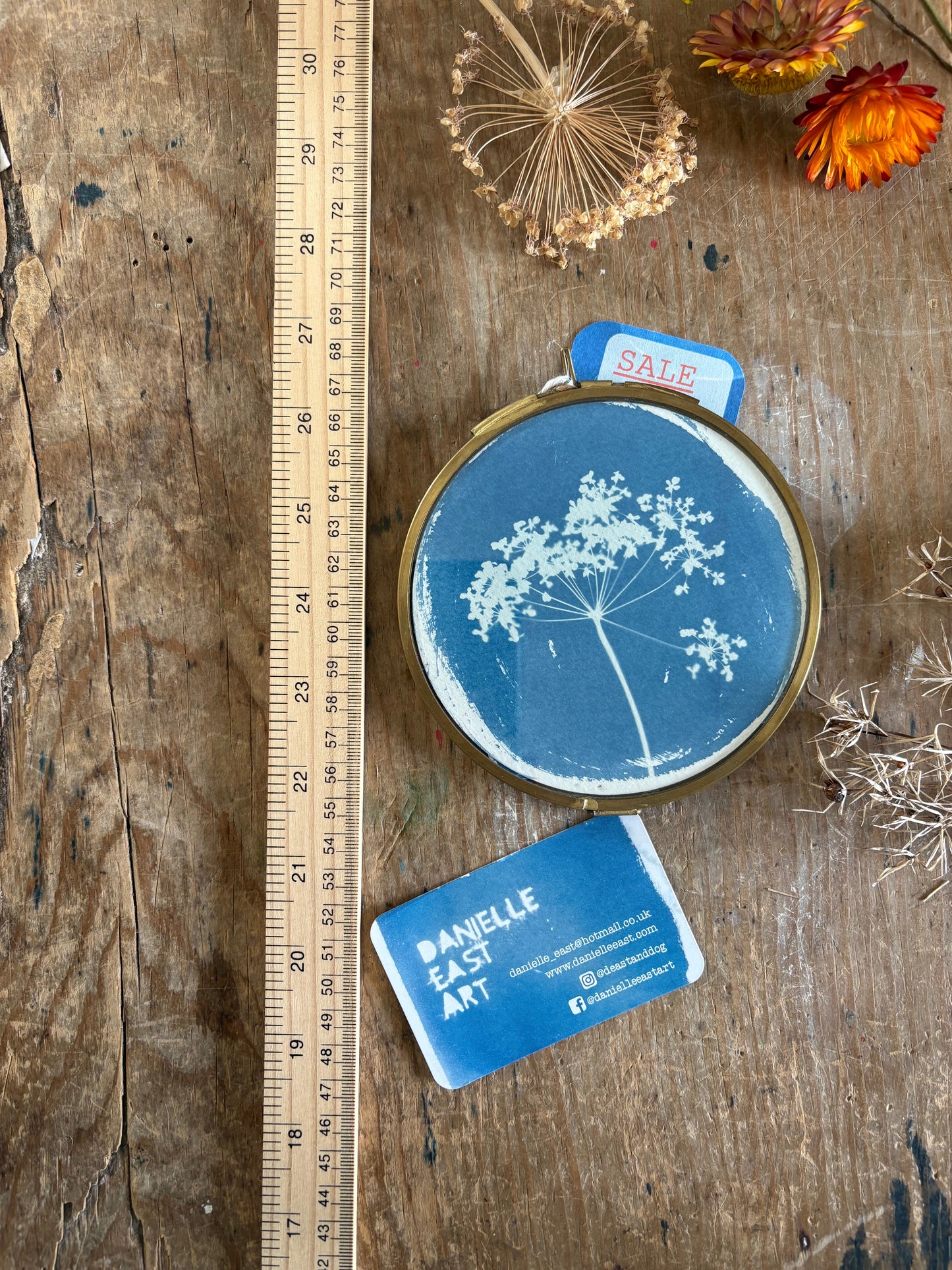 Pressed Parsley - NO HOOK - Brass Framed Circle Cyanotype - 12cm Diameter - SALE