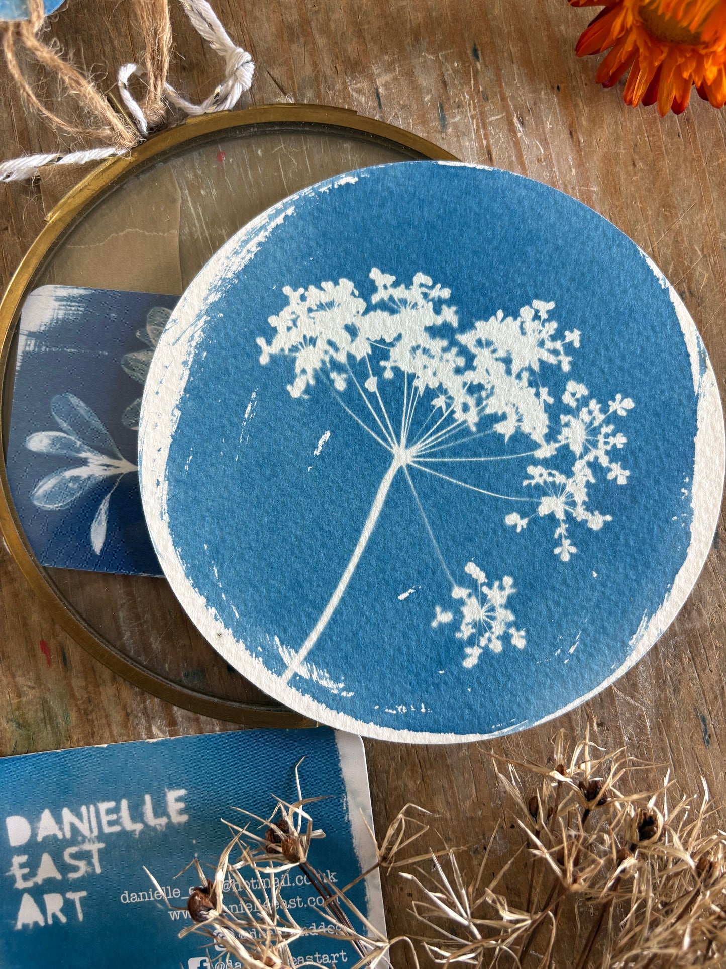 Pressed Parsley - NO HOOK - Brass Framed Circle Cyanotype - 12cm Diameter - SALE