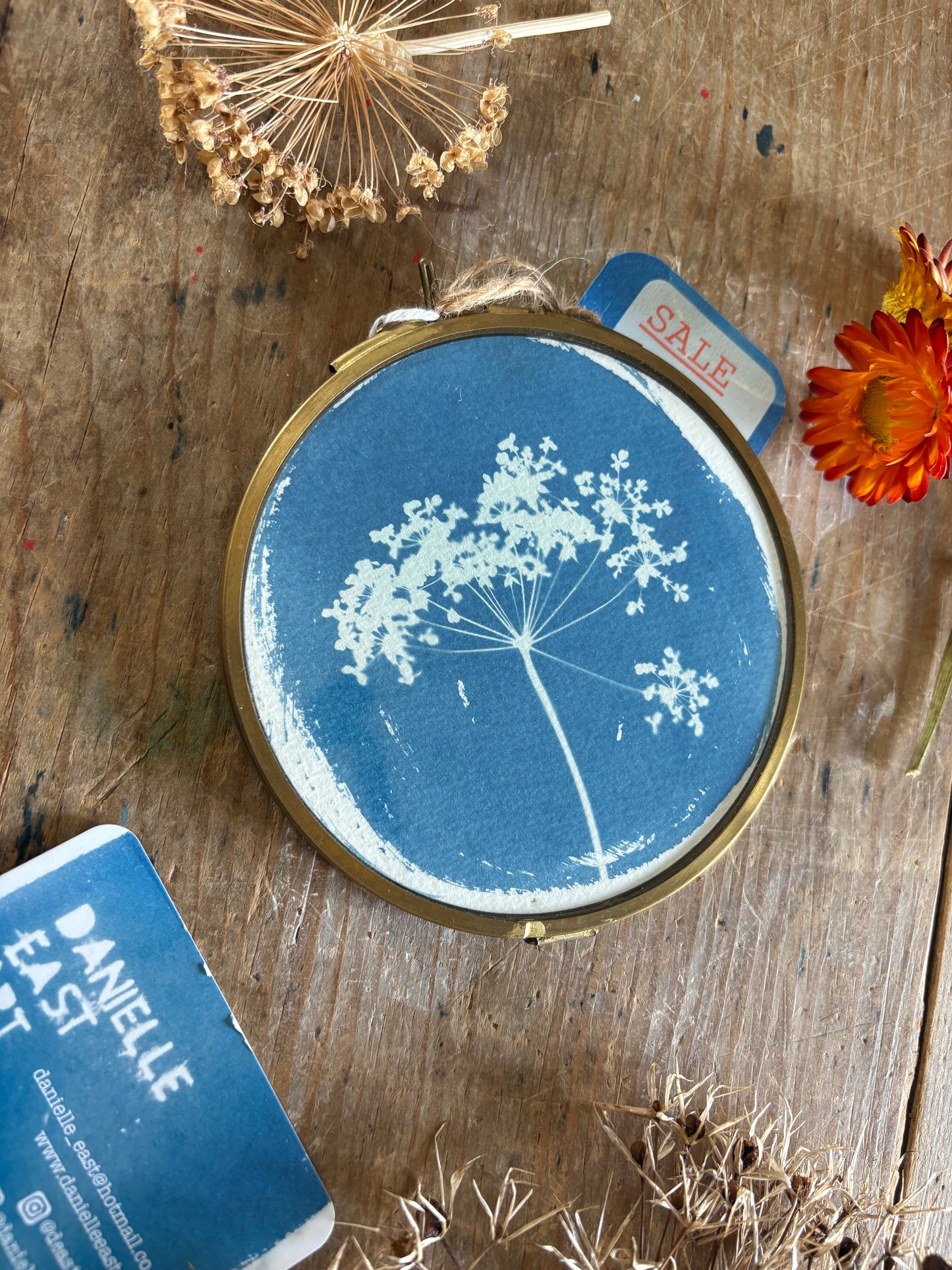 Pressed Parsley - NO HOOK - Brass Framed Circle Cyanotype - 12cm Diameter - SALE