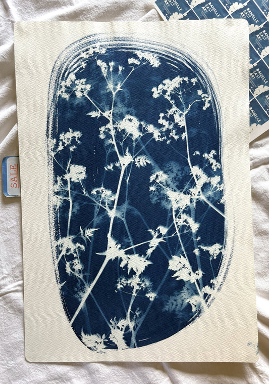 Cow Parsley Oval iii (15x22") Original Print - SALE