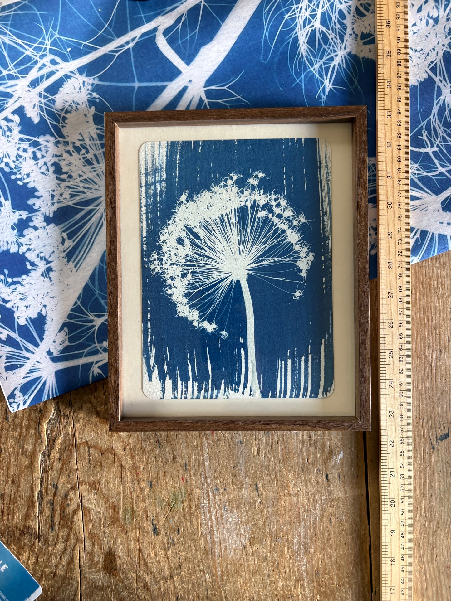 Allium Stem Left -OLD STOCK - Walnut coloured glass frame - SALE