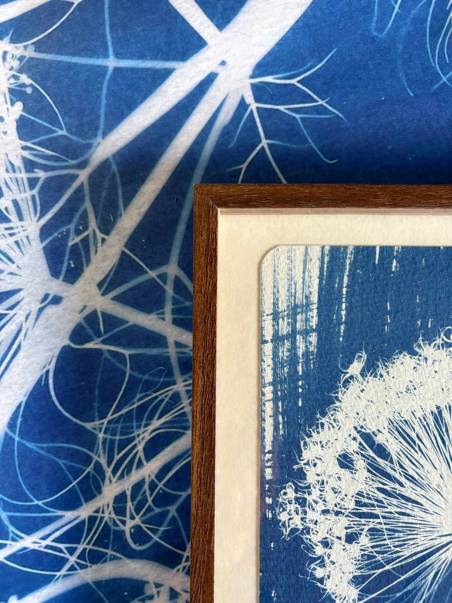 Allium Stem Left -OLD STOCK - Walnut coloured glass frame - SALE