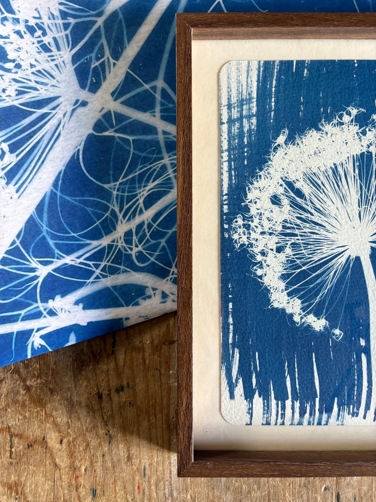 Allium Stem Left -OLD STOCK - Walnut coloured glass frame - SALE