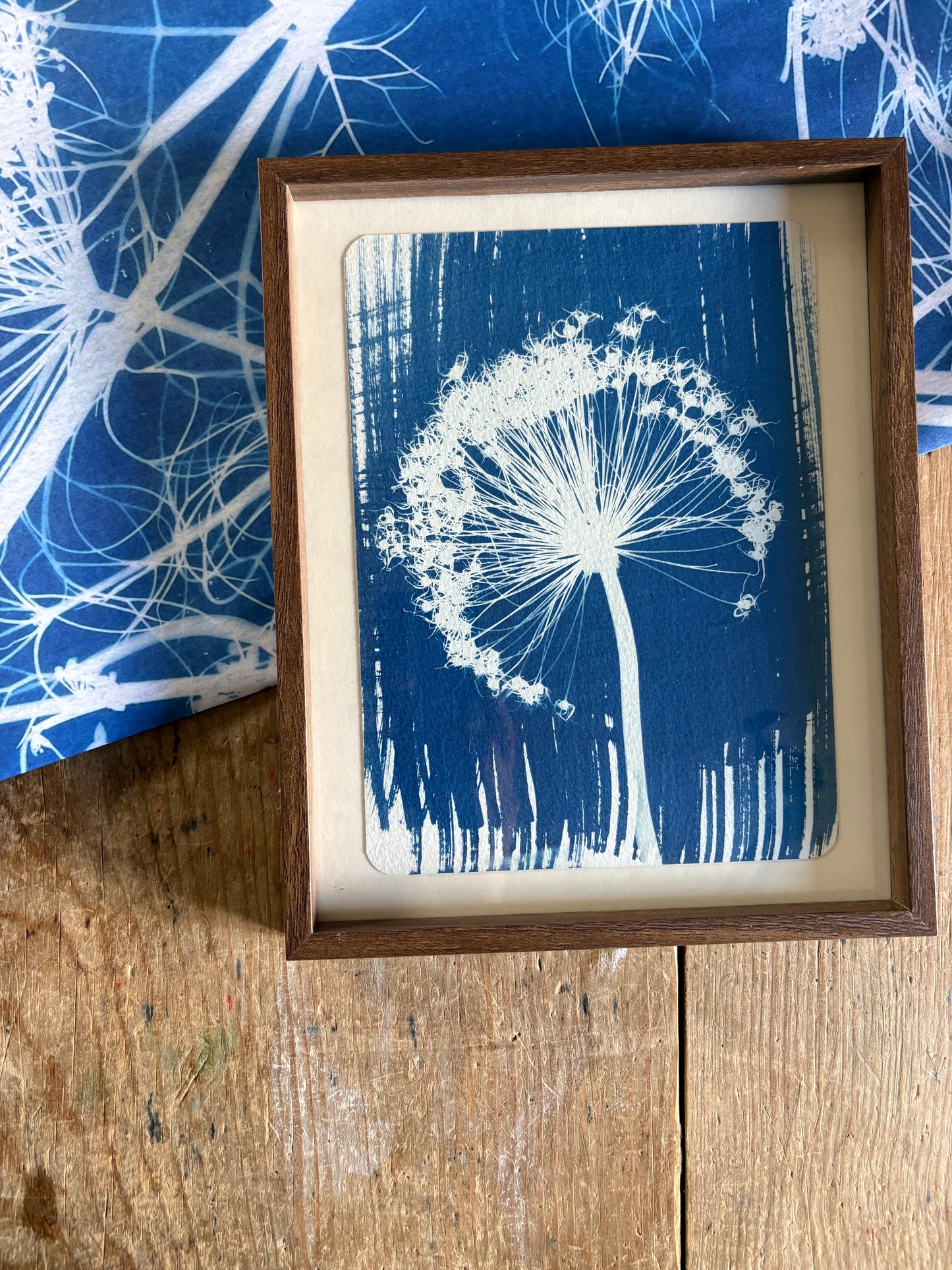 Allium Stem Left -OLD STOCK - Walnut coloured glass frame - SALE