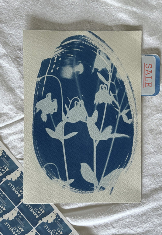 Aqualegia 28x19cm (approx) Original Print SALE